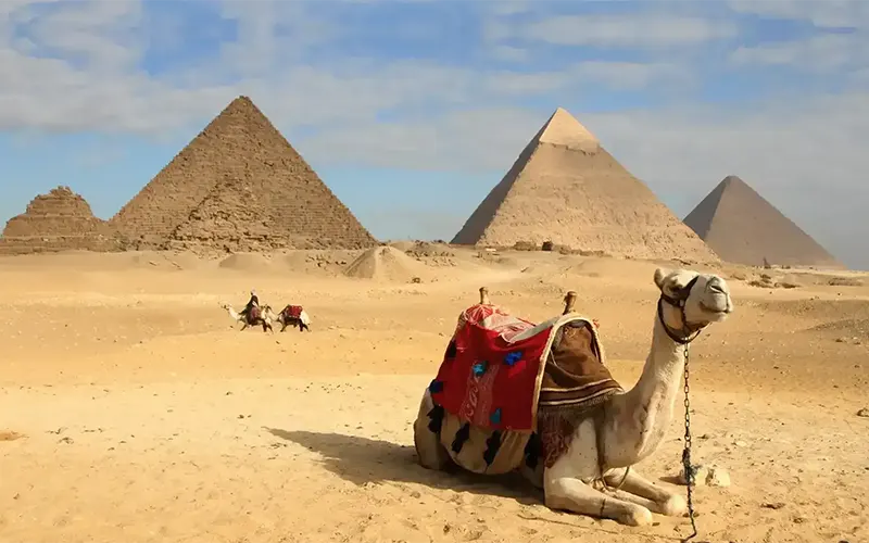 VeniceHosokawaya Tour Packages